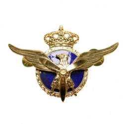 Insignia Piloto Civil...