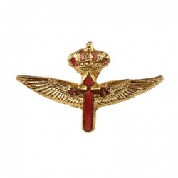 Insignia Piloto FAMET