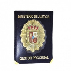 Cartera Gestor Procesal...