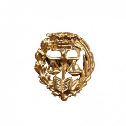 Insignia Carrera Derecho Plata